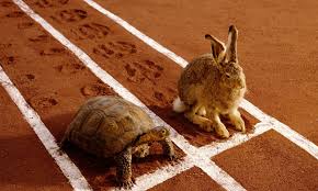 tortoise-and-hare