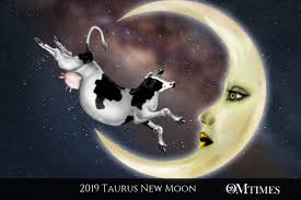 Taurus-New-Moon_Bull