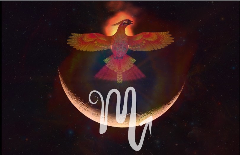 new-moon-phoenix-Scorpio