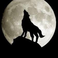 full howling wolf moon