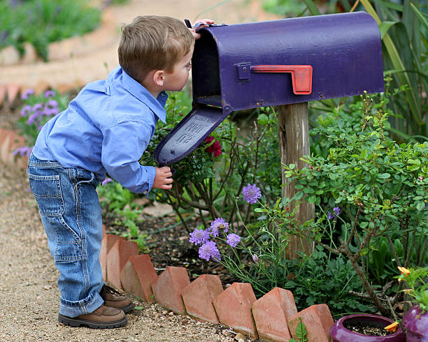 looking in mailbox